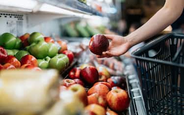 Cropped shot of young Asian woman choosing fresh organic fruits in supermarket. She is picking a red apple along the produce aisle. Routine grocery shopping. Healthy living and eating lifestyle
