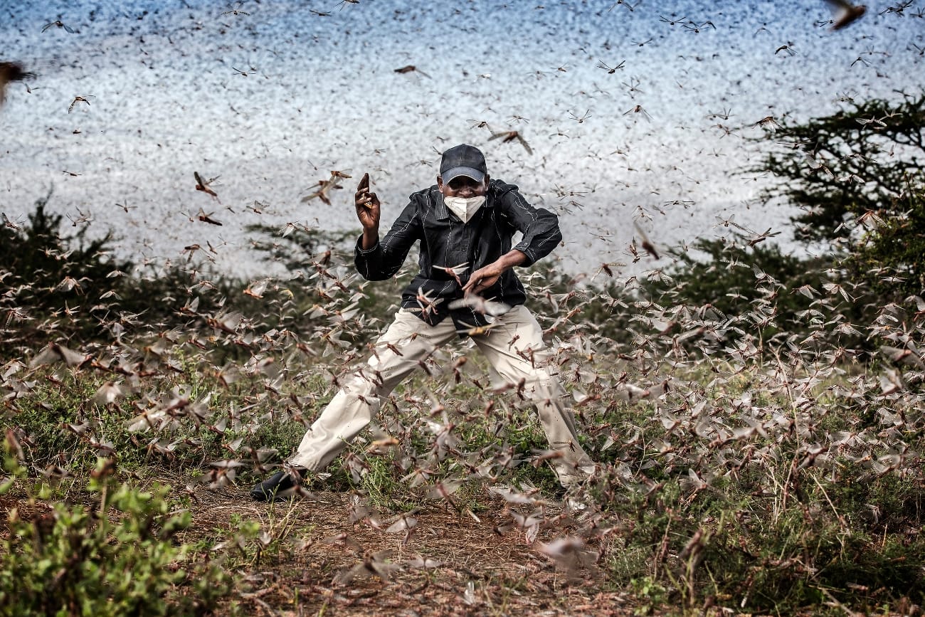 Fighting-Locust-Invasion-in-East-Africa-©-Luis-Tato-Spain-for-The-Washington-Post.jpg