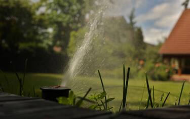 MILANO - Irrigazione, siccita', acqua, piante, giardino, verde (MILANO - 2022-07-05, Francesco Mollo) p.s. la foto e' utilizzabile nel rispetto del contesto in cui e' stata scattata, e senza intento diffamatorio del decoro delle persone rappresentate