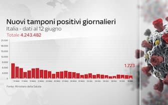 Covid, le grafiche con i dati del 12 giugno: i nuovi positivi