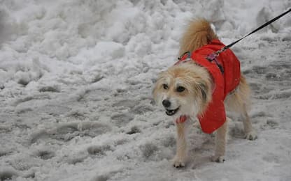 Meteo, da domenica torna la neve in Valle d'Aosta