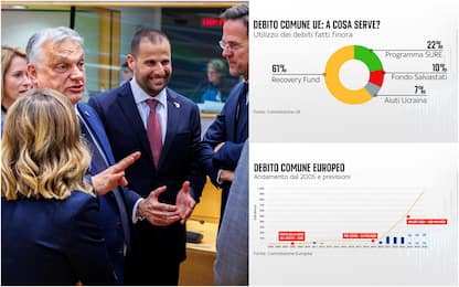 L'Ue torna a discutere di debito comune. A quanto ammonta finora?