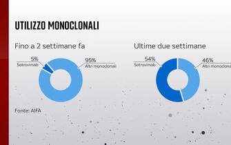 L'uso in Italia degli anticorpi monoclonali