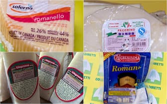 pecorino fake