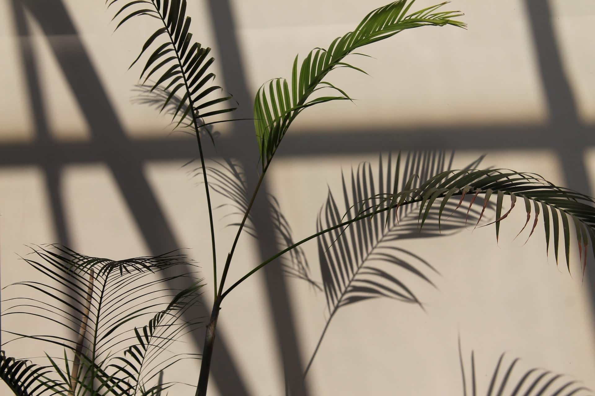 Foto_di_Marra_su_Unsplash.jpg