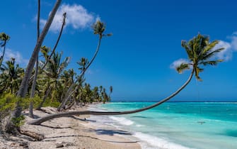 White sand PK-9 beach, Fakarava, Tuamotu archipelago, French Polynesia, South Pacific, Pacific