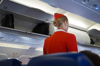 air steward