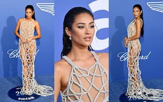 Shay Mitchell