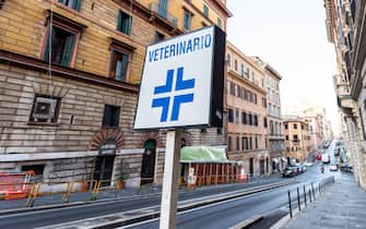 Rome, Italy - September 5, 2018: Italian street outside in city morning, wide angle empty road, nobody, closeup of Veterinarian veterinario sign, in M