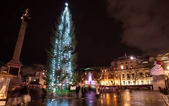 L'albero di Natale a Trafalgar Square, a Londra