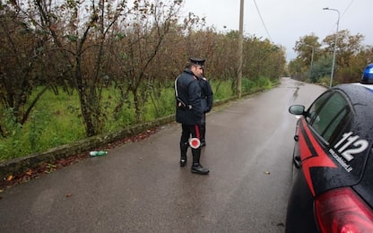 Macellazione clandestina, sequestrate 5 tonnellate di carne equina