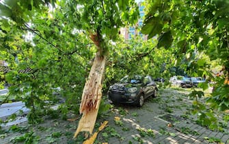 A severe storm toppled trees and destroyed several parked cars at  piazzale Martini, in Milan, Italy, 25 July 2023. A very violent thunderstorm, accompanied by continuous discharges of lightning and sudden gusts of wind, similar to downbursts, struck Milan and a good part of Brianza and northern Lombardy around 4 am. A phenomenon accompanied, in some areas, also by hailstorms.
ANSA/Andrea Fasani
