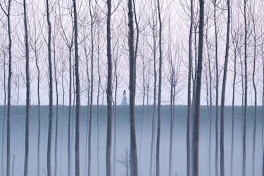 Il cammino del dubbio 