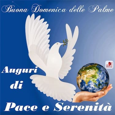 Altre frasi da inviare