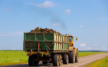 Farm truck overloaded with organic manure or silage driving along a road. Smoky old diesel truck is on a rural road among green agriculture fields. Back view