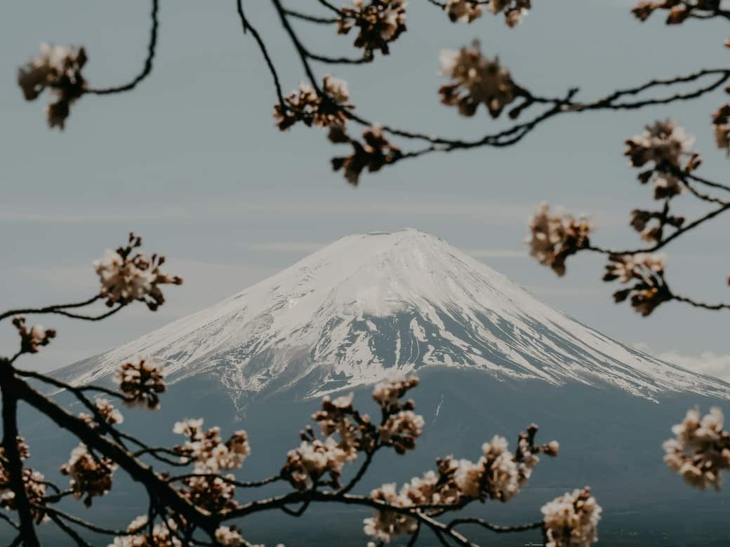Mont Fuji, Kitayama, Fujinomiya. Foto di Victor Pot su Unsplash