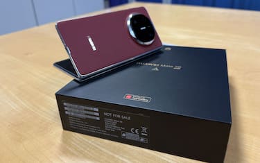 Verdetto, disponibilità e prezzi