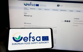 Efsa