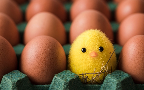 FRASI PASQUA