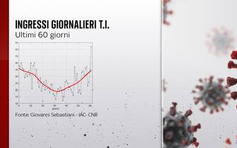 Grafiche coronavirus: ingressi giornalieri in terapia intensiva