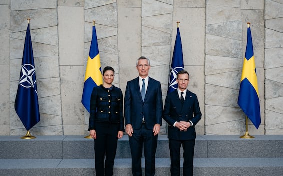 Che cosè la NATO