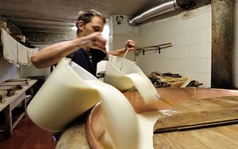 Dairyman at work, Rabbi Valley, Trentino-Alto Adige, Italy.