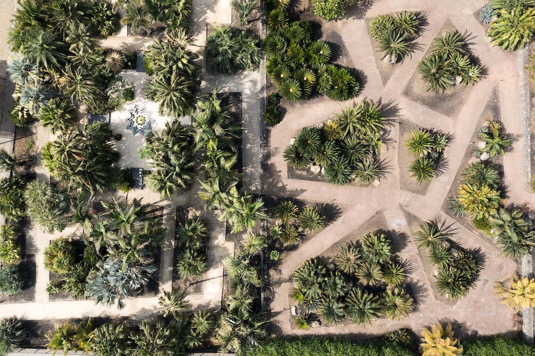 Parco Radicepura3 - Ph Alfio Garozzo