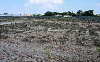 A photo taken on May 21, 2023 in Sant'Agata sul Santerno, near Ravenna, shows destroyed crops after deadly floodwaters hit the Emilia-Romagna region. More than 36,000 people have now been forced from their homes by deadly floods in northeast Italy, regional officials said, as rising waters swallowed more houses and fresh landslides isolated hamlets. Violent downpours earlier this week killed 14 people, transforming streets in the cities and towns of the Emilia Romagna region into rivers. (Photo by Andreas SOLARO / AFP) (Photo by ANDREAS SOLARO/AFP via Getty Images)