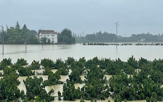 Le campagne allagate per il maltempo nei dintorno di Faenza (RA), 19 settembre 2024 ANSA / Max Cavallari
-- The countryside flooded due to bad weather in the surroundings of Faenza (Ravenna - Italy), 19 September 2024 ANSA / Max Cavallari