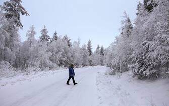 LAPLAND, FINLAND - NOVEMBER 23: People take a walk in the forests in Rovaniemi, Lapland, Finland on November 23, 2023. Snowfall and cold weather are effective in the city of Rovaniemi, Lapland, which is among the important routes of tourists who want to see the 'Northern Lights', a natural phenomenon that takes place at certain times of the year. (Photo by smail Duru/Anadolu via Getty Images)