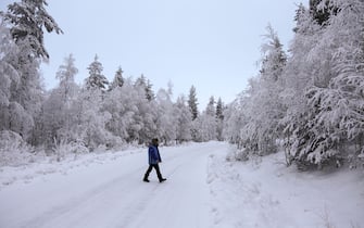 LAPLAND, FINLAND - NOVEMBER 23: People take a walk in the forests in Rovaniemi, Lapland, Finland on November 23, 2023. Snowfall and cold weather are effective in the city of Rovaniemi, Lapland, which is among the important routes of tourists who want to see the 'Northern Lights', a natural phenomenon that takes place at certain times of the year. (Photo by smail Duru/Anadolu via Getty Images)