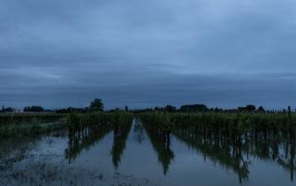 FAENZA, ITALY â" MAY 19: The countryside between Faenza and ForlÃ¬ has been invaded by the flood. The water reached homes and crops on May 19, 2023. (Photo by Andrea Carrubba/Anadolu Agency via Getty Images)