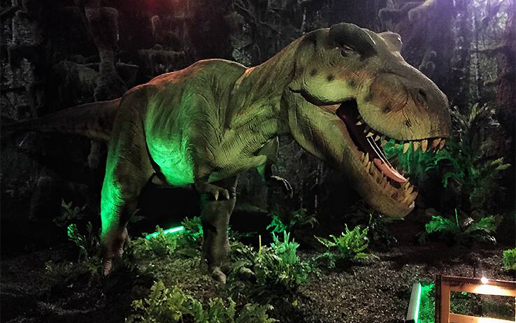 Dinosauri top e vulcani