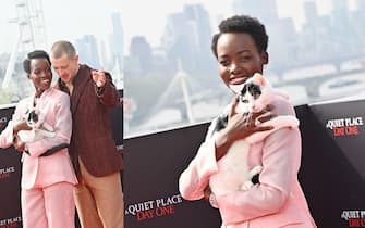 11-a-quiet-place-day-1-cat_getty - 1