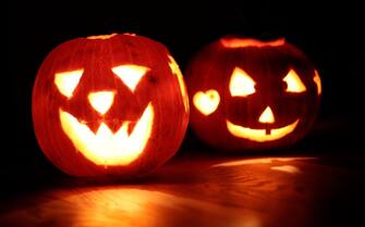 epa06252994 Pumpkins prepared for Halloween on the farm of family Ligges in Kamen, Germany, 08 October 2017. Family Ligges grow up to 200 different pumpkin varieties. The pumpkin harvest is between the end of August and the end of October.  EPA/FRIEDEMANN VOGEL