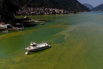 epa10815889 An image taken with a drone shows the water of Lake Lugano coloured in green and yellow due to a strong Cyanobacteria (Blue-Green Algae) proliferation, near Riva San Vitale, Switzerland, 23 August 2023. The proliferation of blue-green algeae is favoured by higher water temperatures. In cases of heavy proliferation, the bacteria can release substances that are potentially dangerous to humans and animals.  EPA/Elia Bianchi