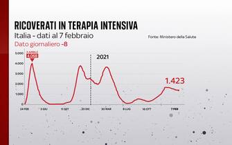 Ricoverati in terapia intensiva