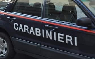 forze dell'ordine