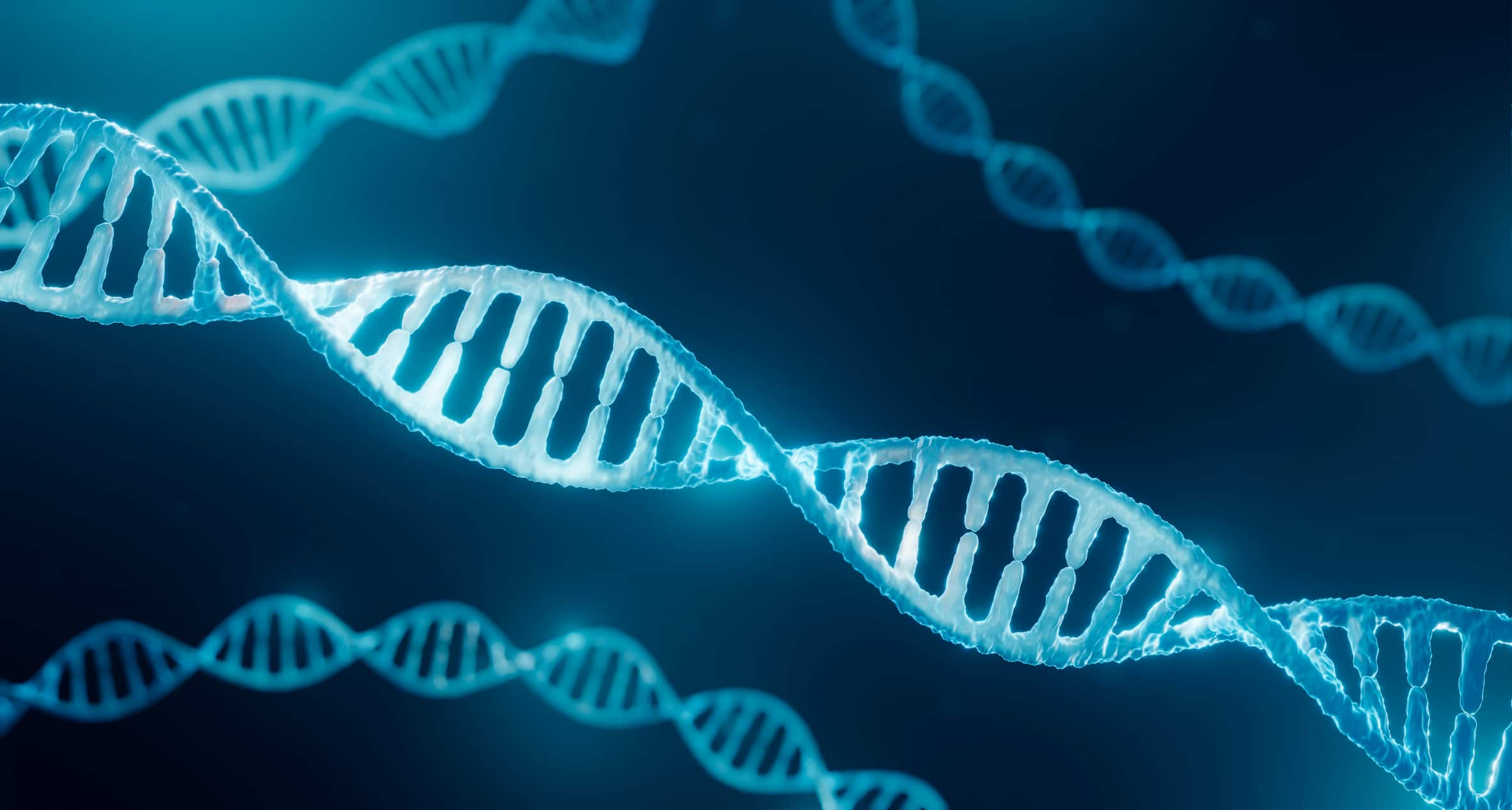 mappa del DNA plasmidico