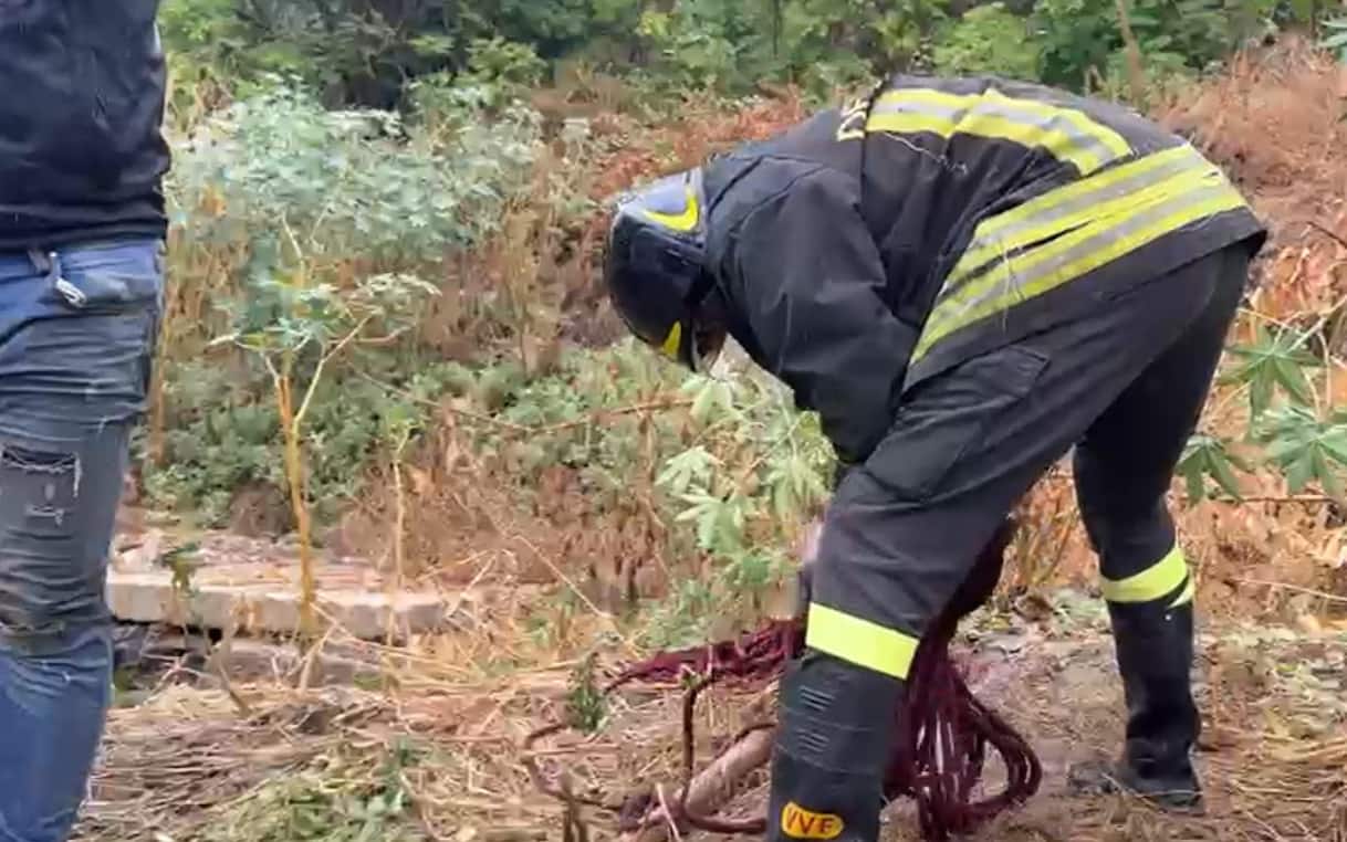 Favara (Agrigento), donna dispersa dopo un nubifragio: ritrovata la borsetta