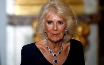 epa10872949 Britain's Queen Camilla attends a state dinner in the Hall of Mirrors at the Palace of Versailles, in Versailles, near Paris, France, 20 September 2023, on the first day of a state visit to the country. The British royal couple's three-day state visit was initially planned for March 2023 and postponed due to widespread demonstrations in France against the government's pension reforms.  EPA/BENOIT TESSIER / POOL  MAXPPP OUT