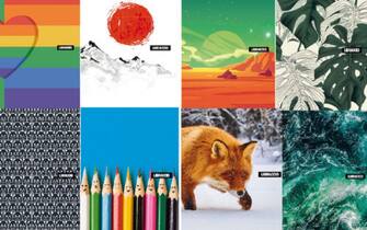 Quaderno Libraccio