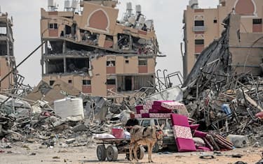 TOPSHOT - A displaced Palestinian man along with his belongings sits on a donkeycart amid the rubble of houses destroyed by Israeli bombardment in Hamad area, west of Khan Yunis in the southern Gaza Strip on March 14, 2024, amid the ongoing conflict between Israel and the Hamas movement. (Photo by AFP)