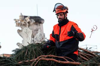 Workers work to arrange a fir tree from the Piemonte region is erected to serve as a Christmas tree in St. Peter's Square, Vatican,  23 November 2023. A
ANSA/GIUSEPPE LAMI