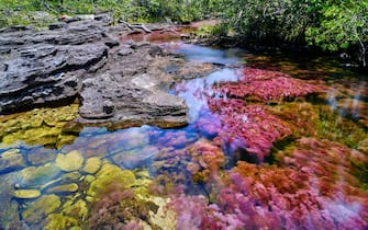 viaggi fenomeni naturali