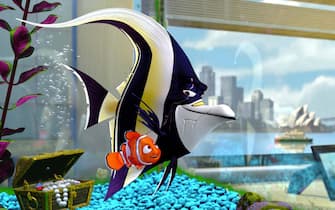 alla ricerca di nemo film