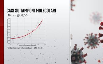 L'andamento dei casi sui tamponi molecolari dal 22 giugno