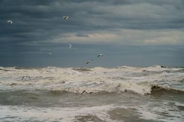 Prevenzione al mare o al lago 