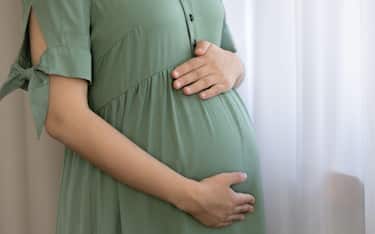 Tender single pregnant woman embrace big tummy by window