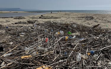 Gioia Tauro (Rc) Foce Fiume Petrace. La foto Ã¨ stata scattata nell'ambito del monitoraggio annuale di Goletta Verde, la barca di Legambiente che ogni estate percorre tutta la costa italiana per verificare lo stato delle acque, i cui risultati sono stati presentati il 12 agosto 2016 nel corso di una conferenza stampa a Roma. ANSA / US LEGAMBIENTE +++ANSA PROVIDES ACCESS TO THIS HANDOUT PHOTO TO BE USED SOLELY TO ILLUSTRATE NEWS REPORTING OR COMMENTARY ON THE FACTS OR EVENTS DEPICTED IN THIS IMAGE; NO ARCHIVING; NO LICENSING+++